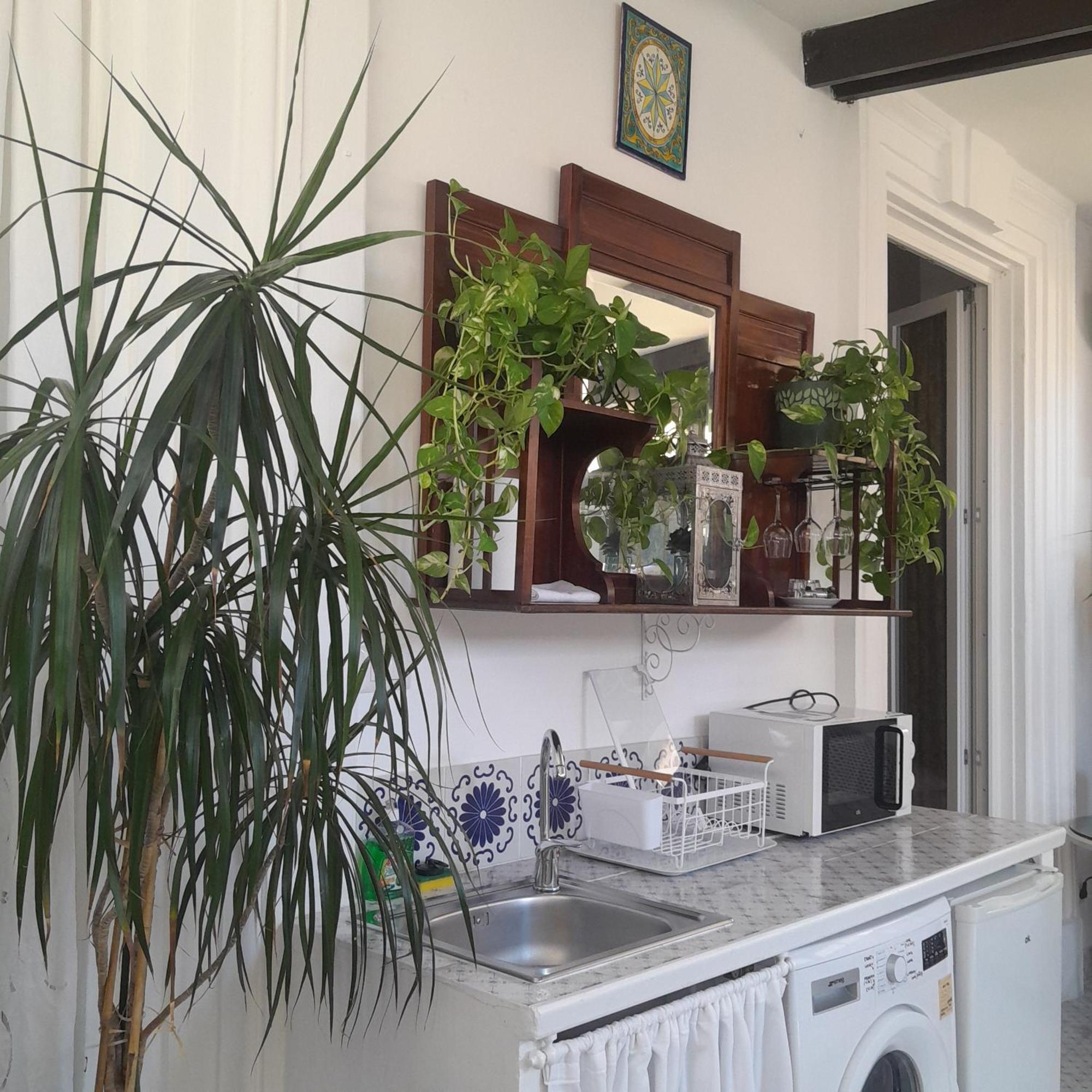 B&B Lido Liberty Лидо ди Остия Екстериор снимка